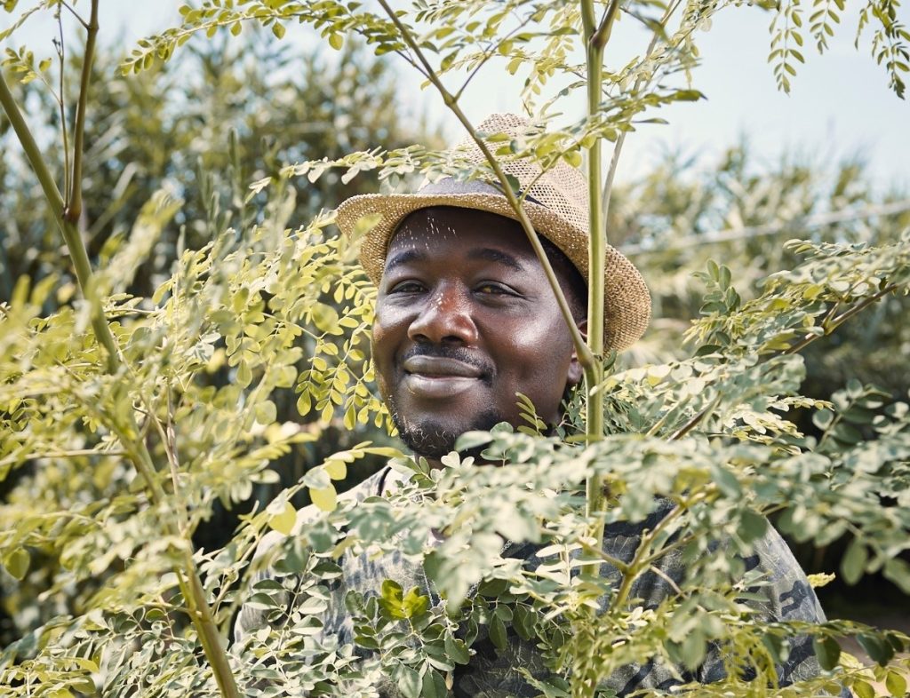 Immagine della storia